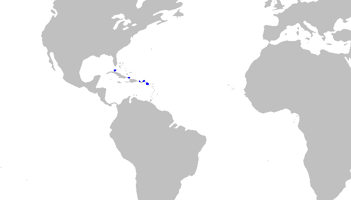 Файл:Galeus springeri distmap.png