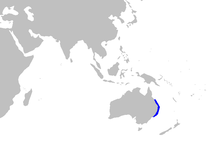 Файл:Heterodontus galeatus distmap.png