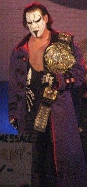 Файл:TNA Champion Sting.jpg