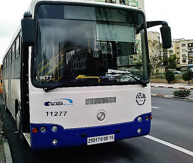 Файл:100L6 Talaba bus.jpg