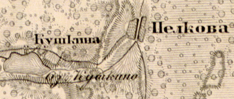 План деревни Пёлково. 1863 г.