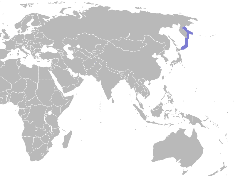 Файл:Phoca-vitulina-stejnegeri-range-map.png
