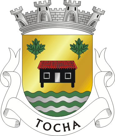 Файл:CNT-tocha.png