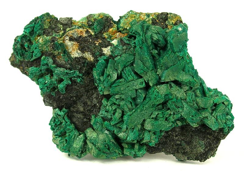 Файл:Euchroite-177528.jpg