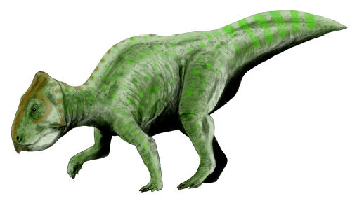 Файл:Prenoceratops BW.jpg