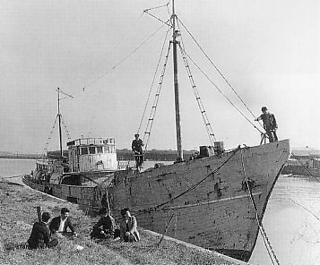 Файл:Daigo Fukuryu Maru.jpg