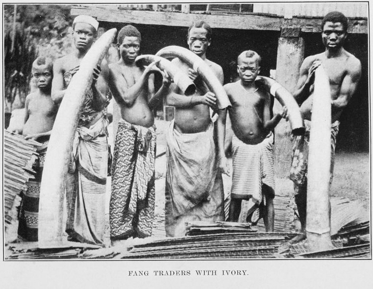 Файл:Fang traders with ivory.jpg