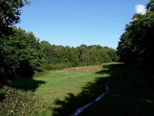 Файл:Footpath on Hampstead Heath - geograph.org.uk - 53758.jpg