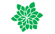 Файл:Leaf morphology rosette.png