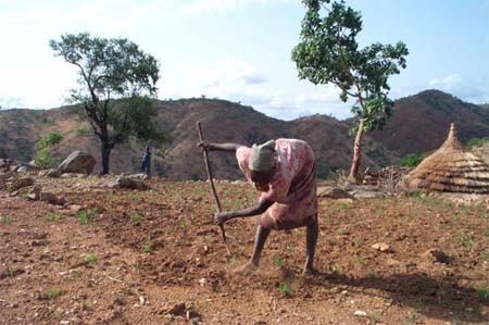 Файл:Nuba farming 1.jpg