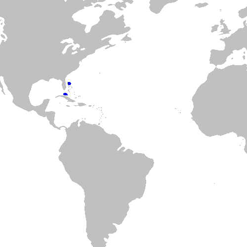 Файл:Pristiophorus schroederi distmap.png