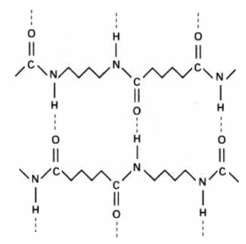 Файл:Structure polyamide 4-6.png