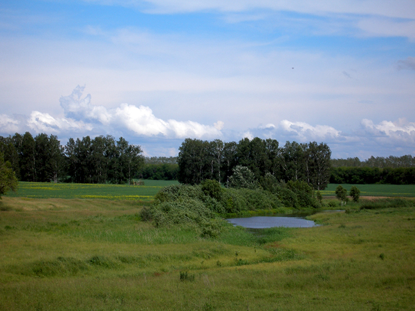 Файл:Kalmankakolki.jpg