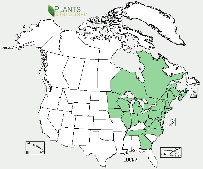 Файл:Lonicera canadensis distribution USDA map.png