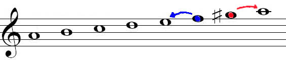 Файл:Leitton Moll.jpg