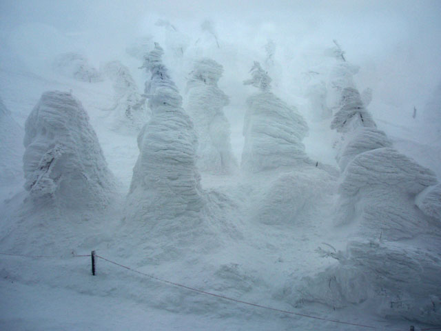 Файл:樹氷.jpg