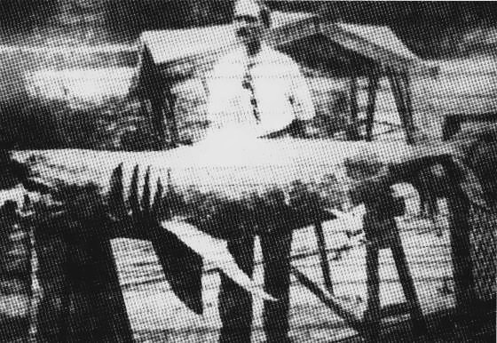 Файл:SchleisserandShark.jpg