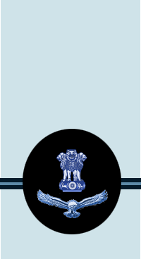 Файл:IAF WO Shoulder.png