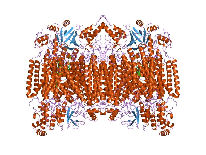 Файл:PDB 1oco EBI.jpg