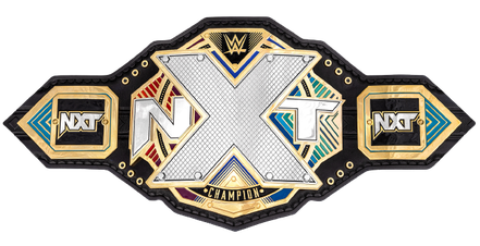 Файл:NXT Championship 2017.png