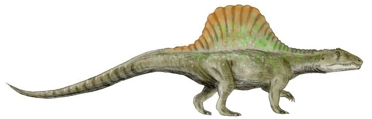 Файл:Arizonasaurus BW white background.jpg