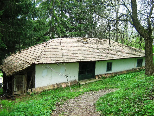 Файл:Dolna kabda djamia centar.jpg