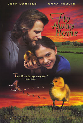 Файл:Fly away home.jpg