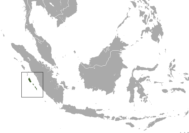 Файл:Mentawai Langur area.png