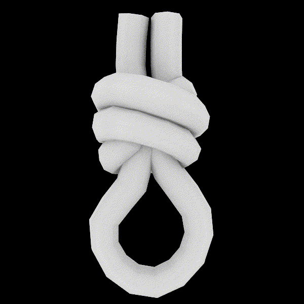 Файл:Scaffold knot.gif