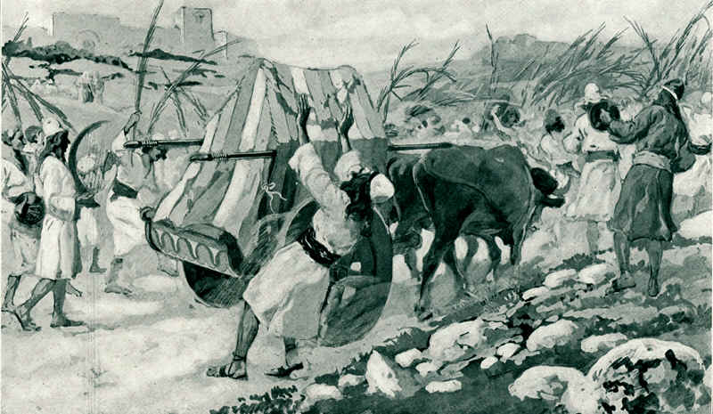 Файл:TissUzah.jpg