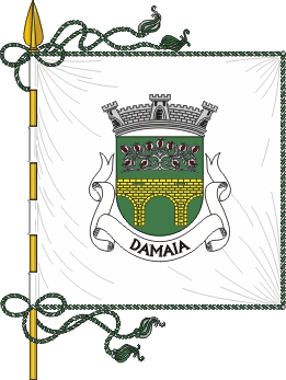 Файл:Pt-amddm1.png