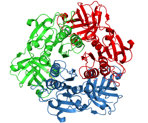 Файл:Fluorinase crystal structure.png