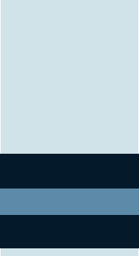 Файл:Air Commodore of IAF.png