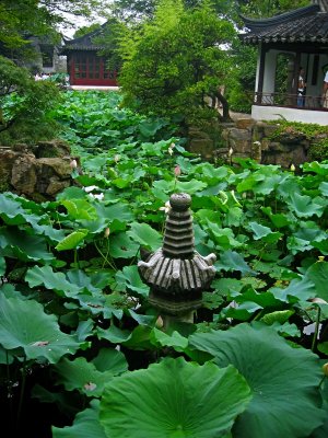 Файл:Humble admin garden suzhou small.jpg
