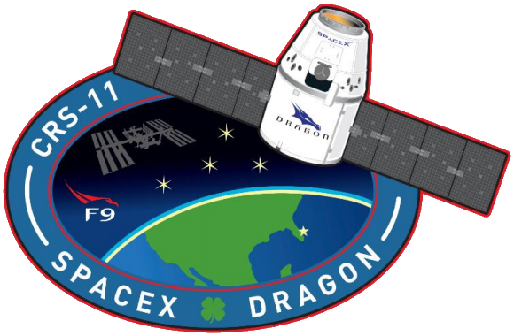 Файл:SpaceX CRS-11 patch2.png