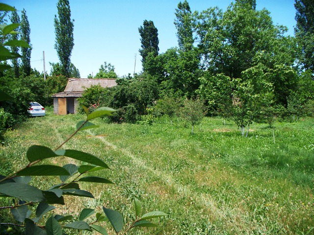 Файл:Baga girish.jpg