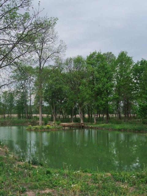 Файл:Bardača Nature reservoir.jpg