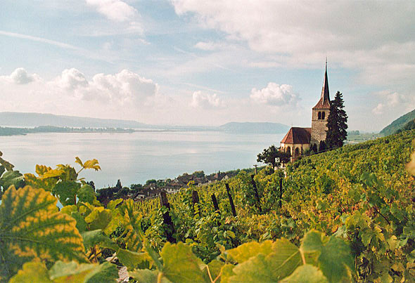Файл:Bielersee.jpg