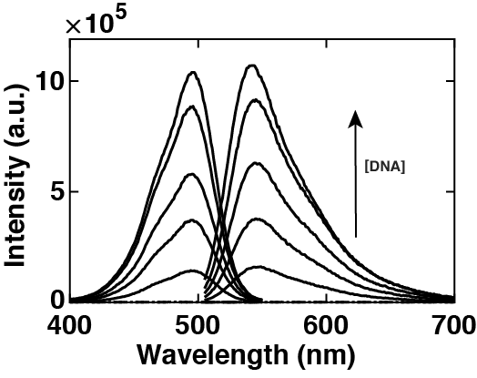 Файл:Spectra SYBRGold Wiki v2.png