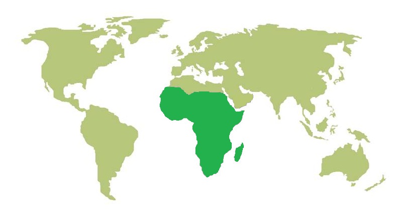 Файл:Ареал Graphium antheus.jpg