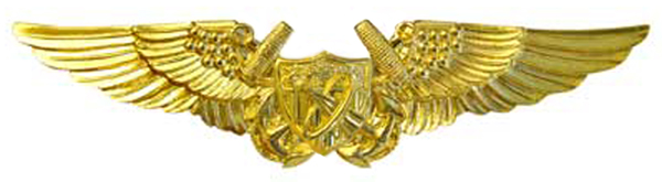 Файл:Flightastrobadge.jpg
