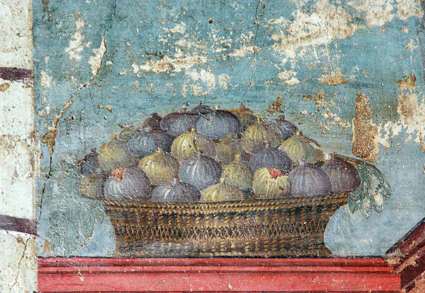 Файл:Oplontis-Pintures-5643.jpg