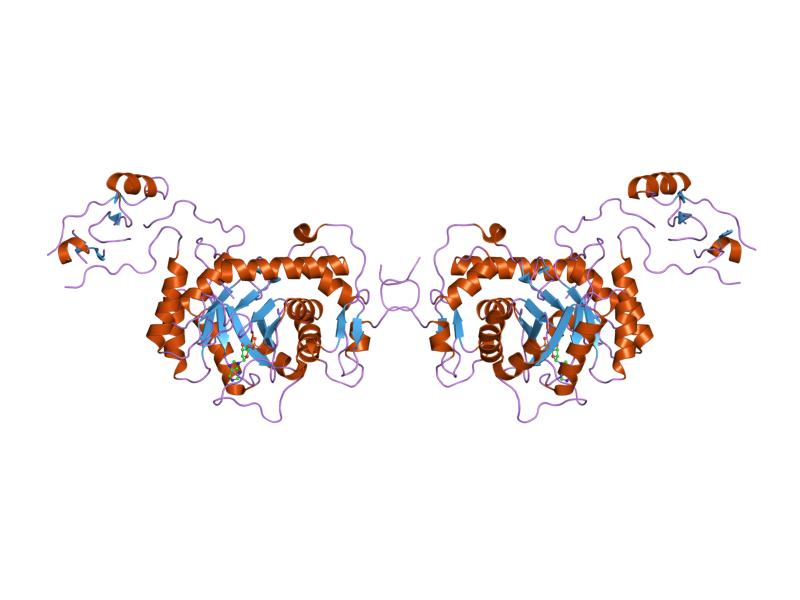 Файл:PDB 1jcn EBI.jpg