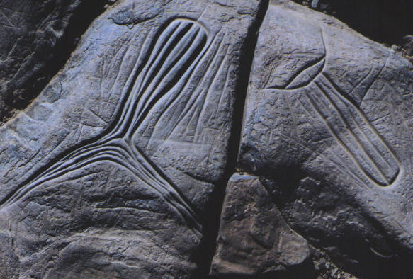 Файл:Prehistory-draa19.jpg