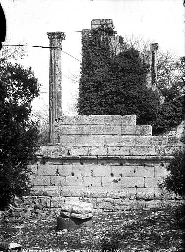 Файл:Temple de Château-Bas Mieusement.jpg