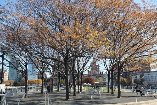 Файл:World Chess Championship 2016 Game 3 - 14.jpg