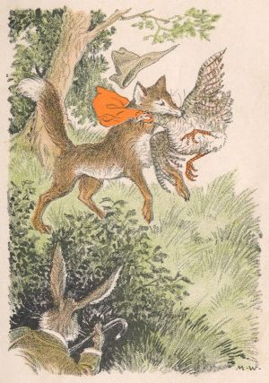Файл:Brushtail the Fox - Milo Winter - Project Gutenberg eText 18667.jpg