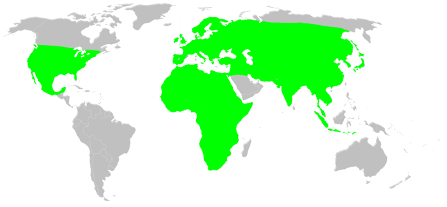 Файл:Distribution.atypidae.1.png
