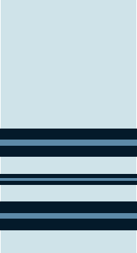 Файл:Squadron Leader of IAF.png