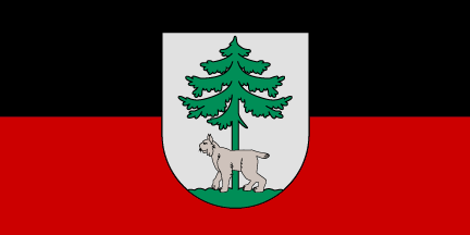 Файл:Bandera Jekabpils.png